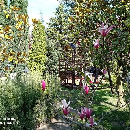 Apartment Balaton