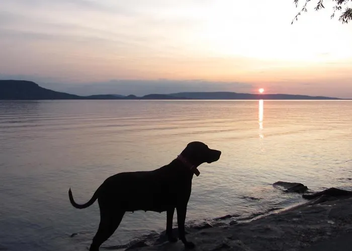 Balaton Apartmán Fonyód